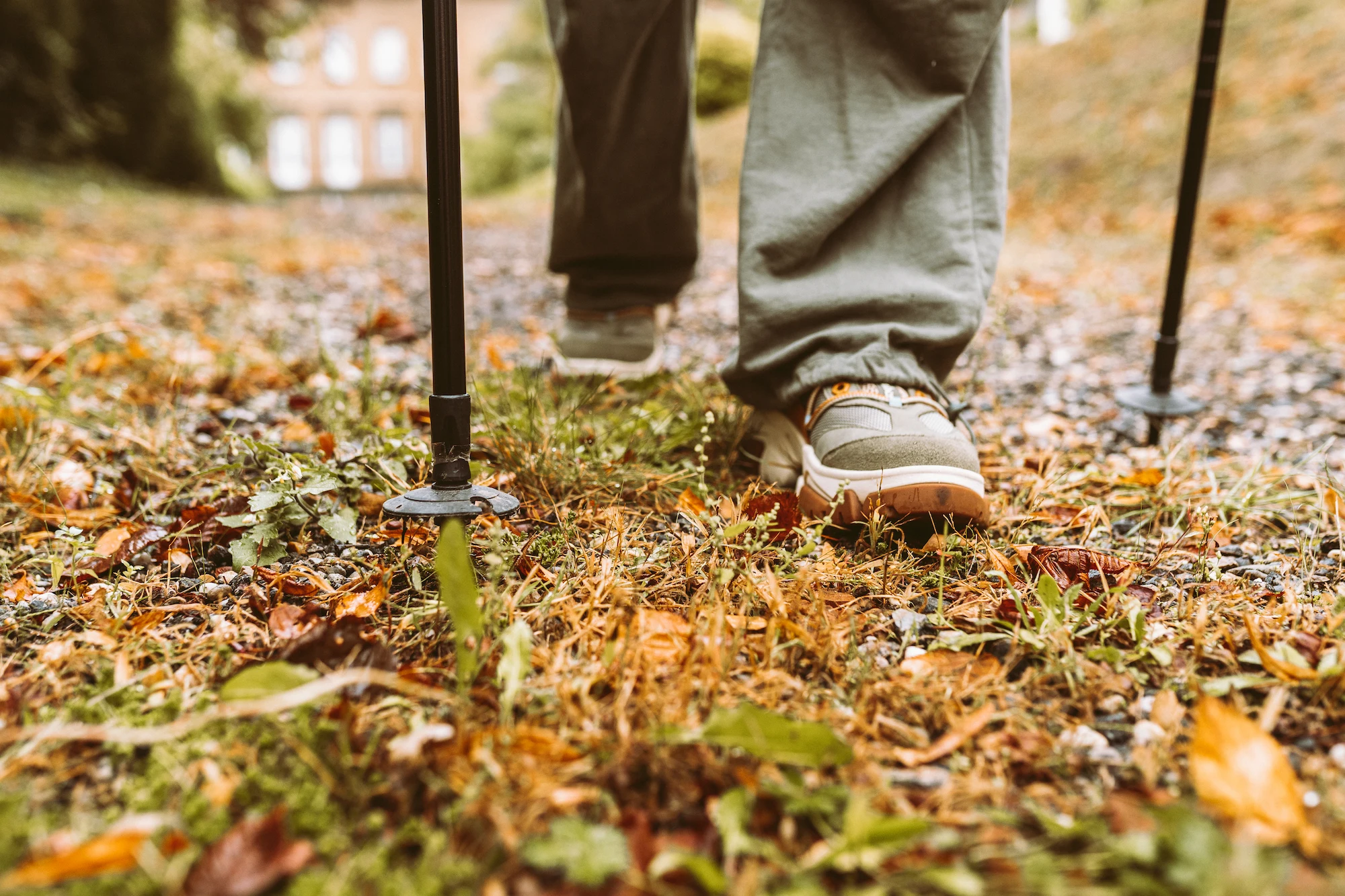 nordic-walking
